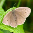 /album/okac-prosickovy/a2012-07-10-17-38-56-jpg/